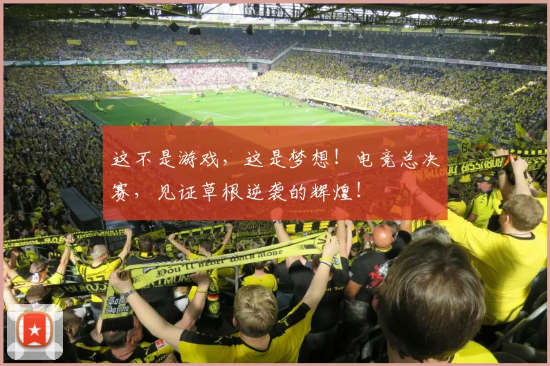 这不是游戏，这是梦想！电竞总决赛，见证草根逆袭的辉煌！